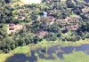 Serviços ecossistêmicos em foco