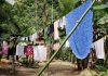Dimensões sociais das mudanças climáticas